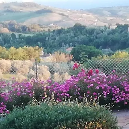 Anthos Appartement *