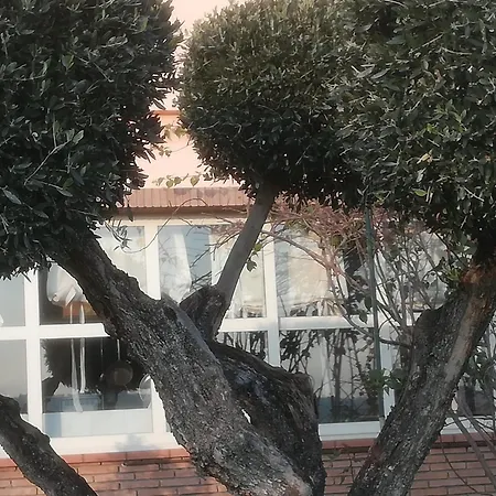 Apartment Anthos